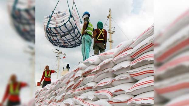 400 cos given permission to import 17 lakh tonnes of rice