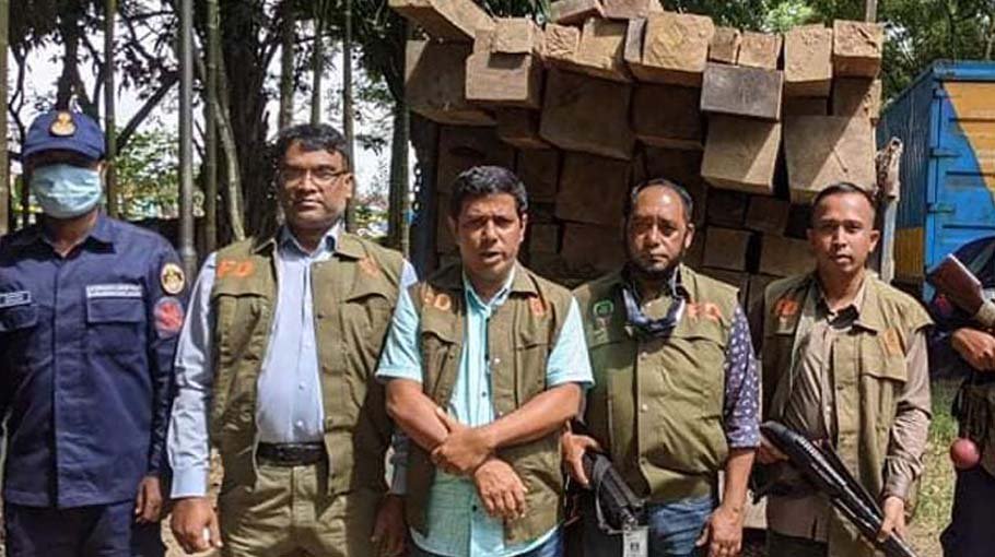 Tk 25 lakh timber seized in Ctg