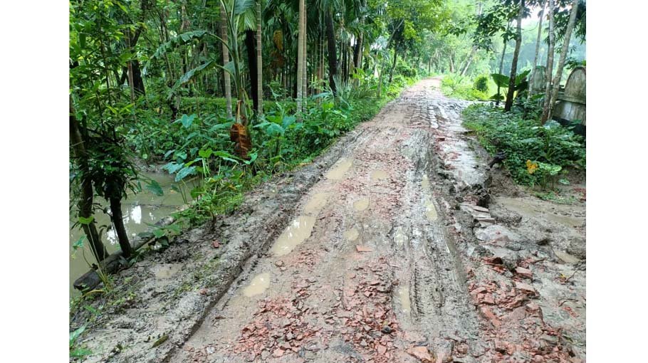 Mirzaganj people suffer  for dilapidated road
