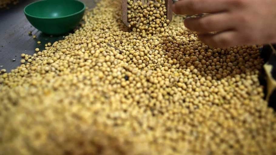 Call for end to export of soybean meal, import of frozen carabeef