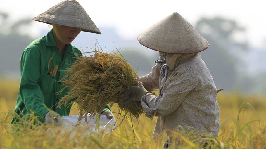 How to address Asia-Pacific biodiversity crisis