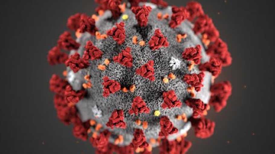 Covid infection rate drops to 3.24pc