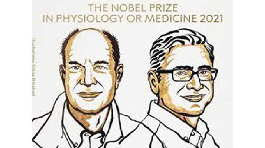 US duo win Nobel in Medicine