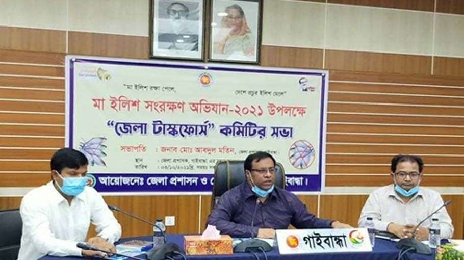 Hilsha fishing ban becomes effective  in Gaibandha