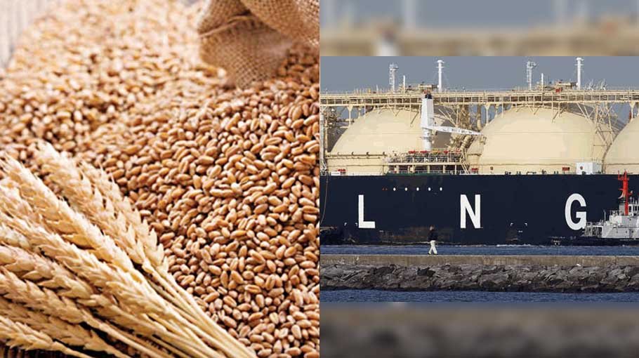 Govt to procure 67 lakh MMBtu LNG, 1 lakh tone wheat