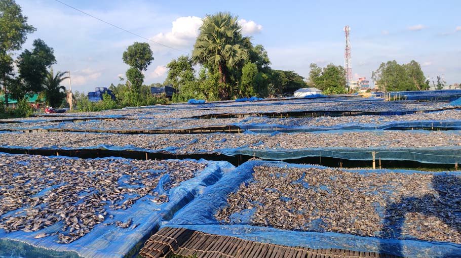 Chalanbeel area lacks processing, storage facility for dried fish