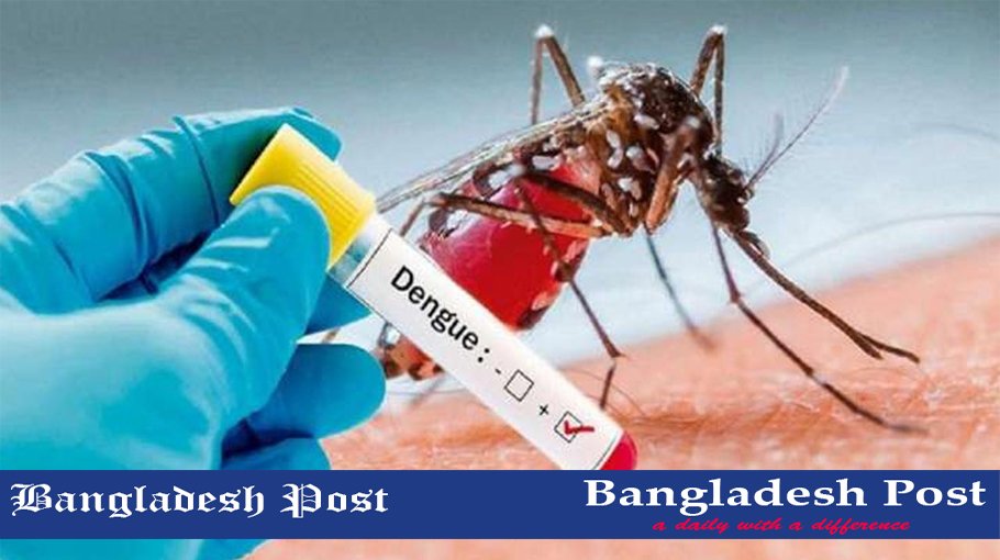 How To Increase Platelets In Dengue