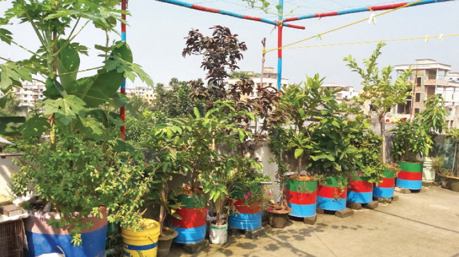 Roof garden a means of earning