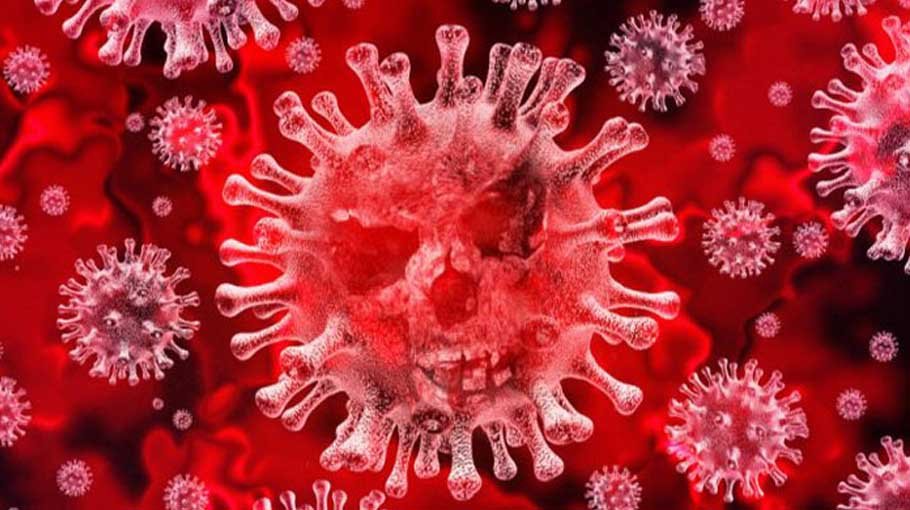 9 Covid deaths in 24 hrs