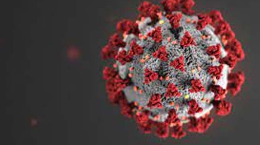 Manikganj records zero Covid-19 positivity rate