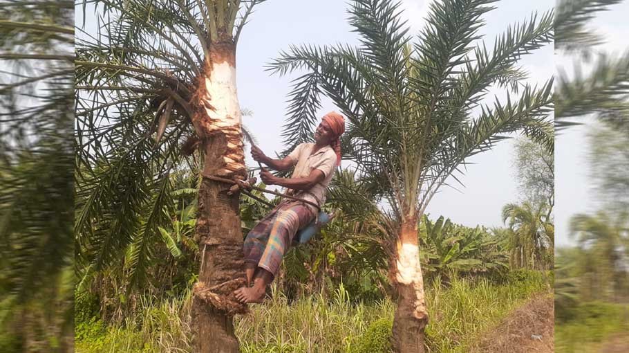 All preparations complete, extractors await date sap