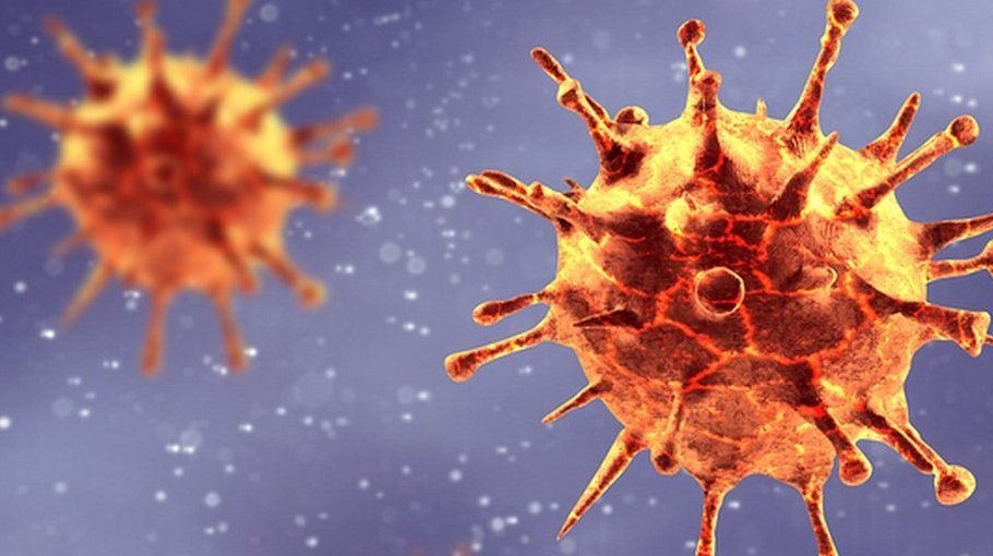 Dhaka sees no Covid deaths  in 24 hrs