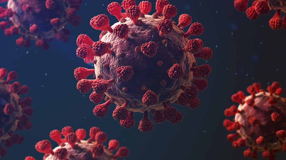 No Covid death in 7 divisions in 24 hrs