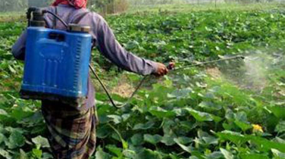 Use of toxic chemicals in croplands causes severe health hazards