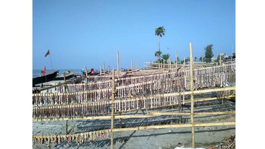 Dry fish odour disgusts tourists in Kuakata