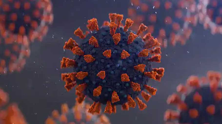 6 Covid deaths in 24 hours