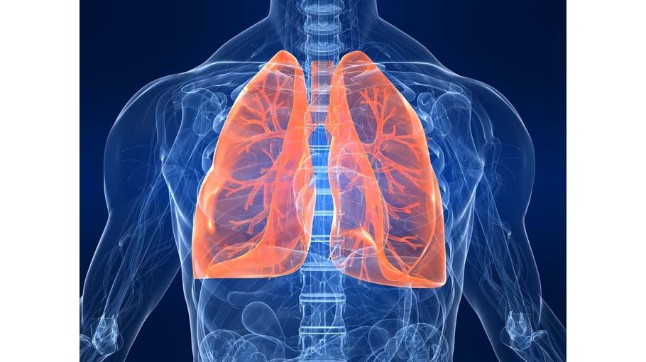 Complications of pulmonary fibrosis (part 5)