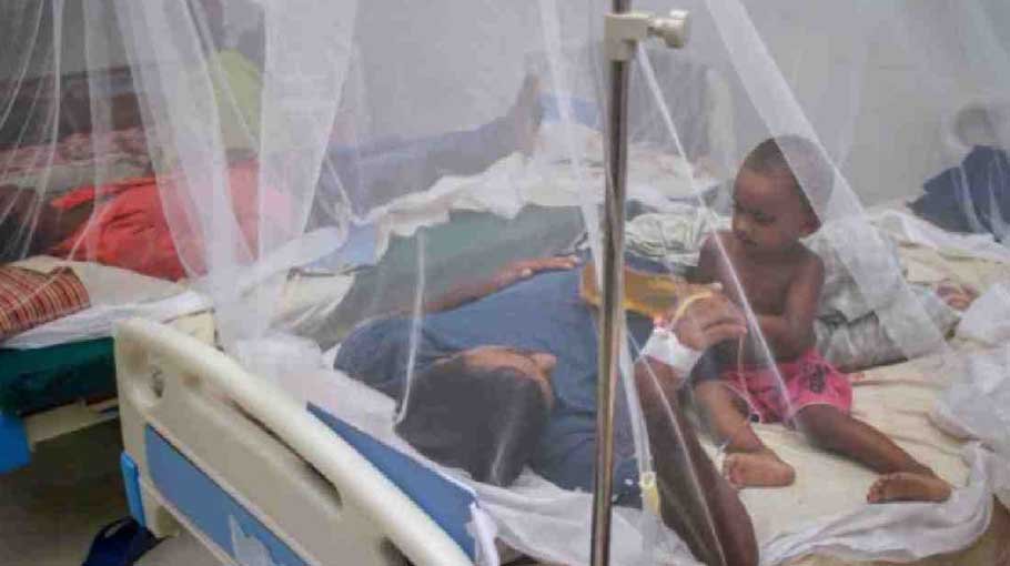 Dengue cases keep rising: 142 more hospitalised in 24 hrs
