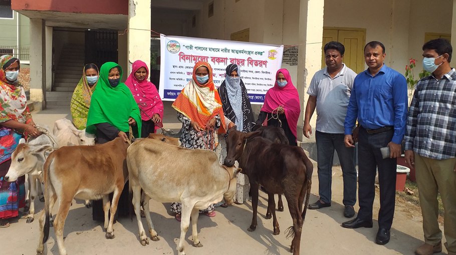 Cows distributed among Jhenaidah women