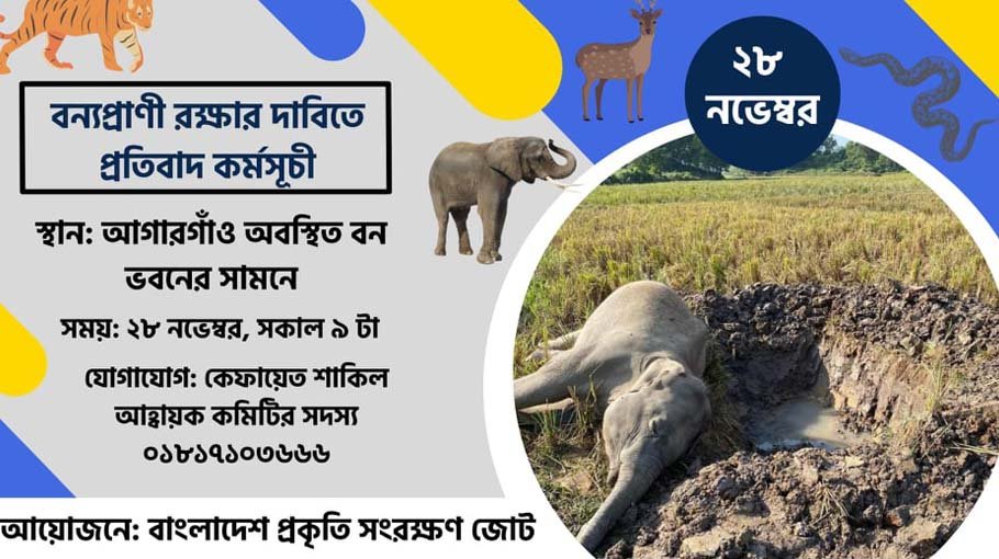 Environmental platforms launch united progs for animal, forest