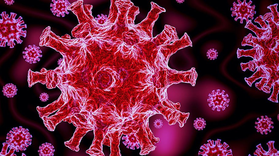 2 Covid deaths in 24 hours