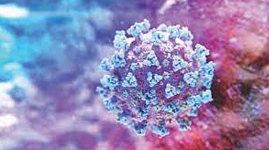 3 Covid deaths, 205 new cases in 24 hrs