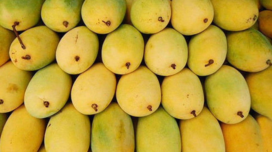 Mango export booms