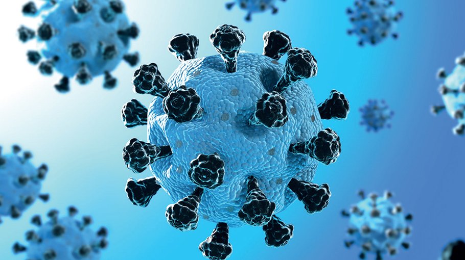 2 Covid deaths  in 24 hrs