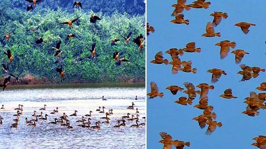 Voyagers keep coming to the north