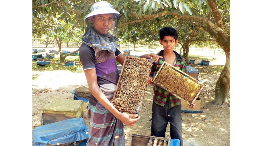 71 anniversary of Mongla port celebrated