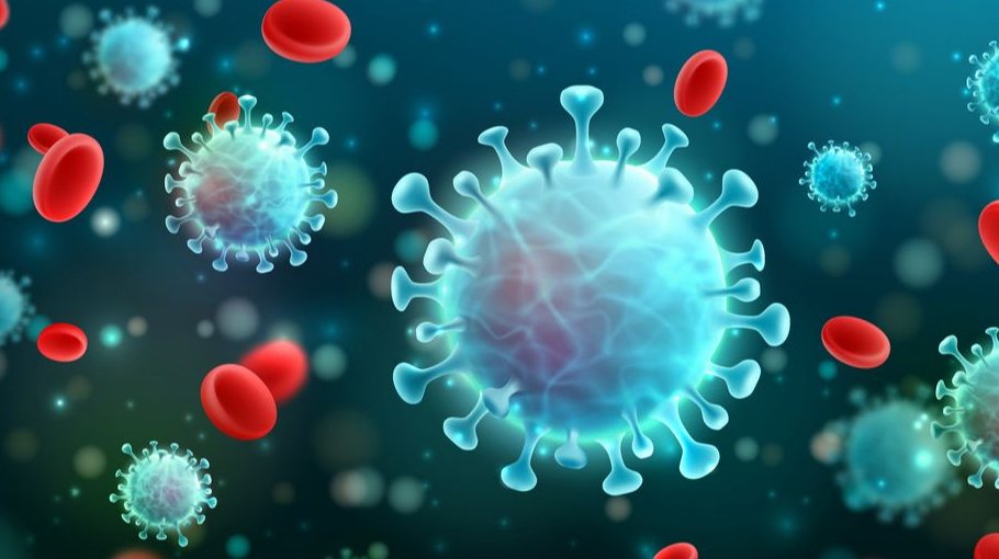 3 Covid deaths  in 24 hrs