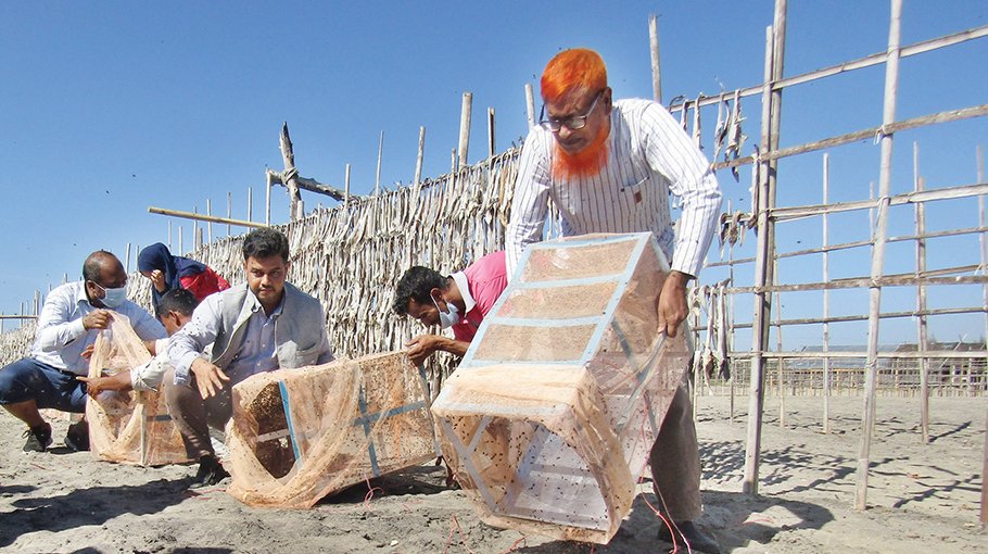 Sterile flies released to suppress wild flies in Sonadia