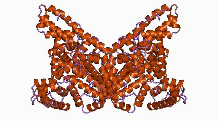 Treatment for hypoalbuminemia (part 3)
