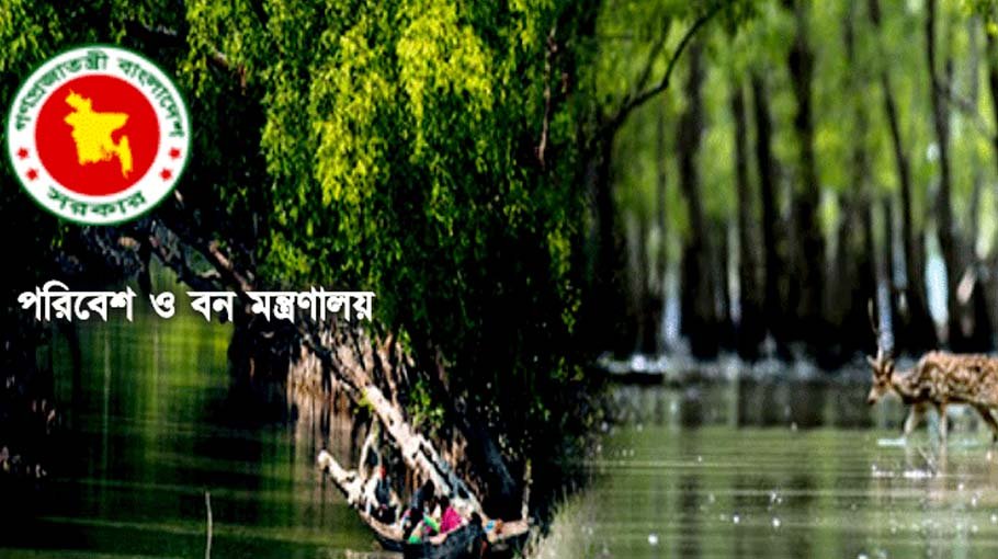 Each district to have environment court