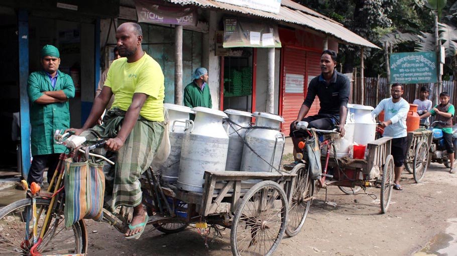 Families of Teesta char becoming self-sufficient in milk