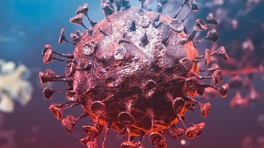 Three Covid deaths in 24 hours