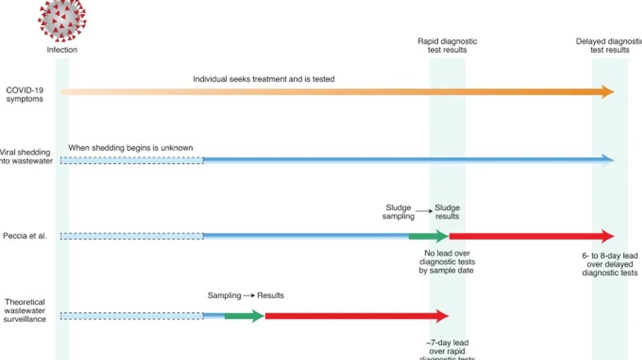 Tracking system developed to find Covid in wastewater