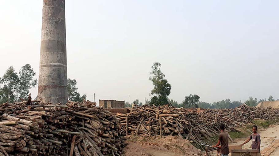 Brick kilns in Pirganj burn woods, use top soil