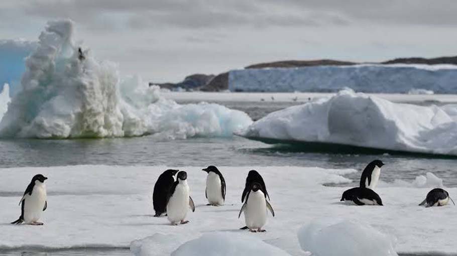 What if the ‘Doomsday Glacier’ collapses?