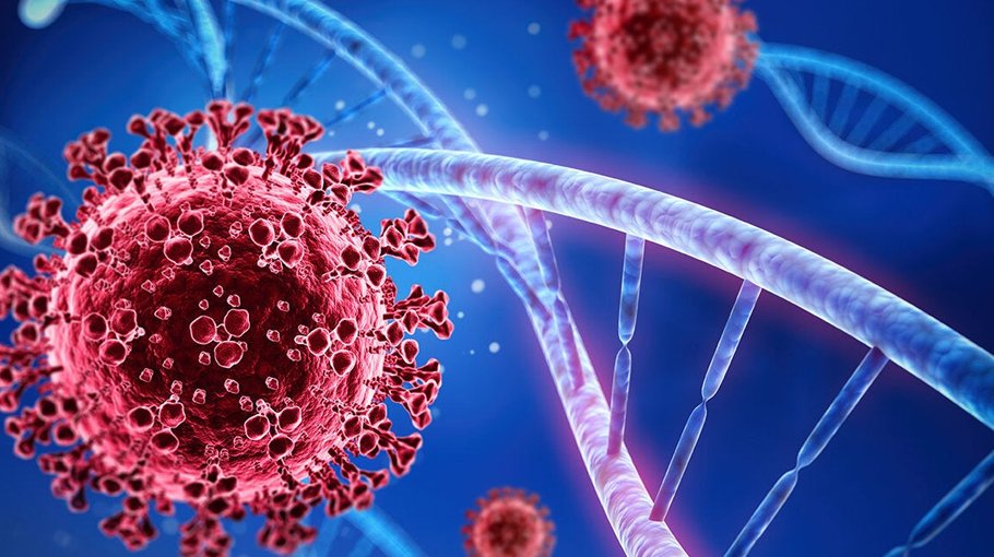 One Covid death  in 24 hours