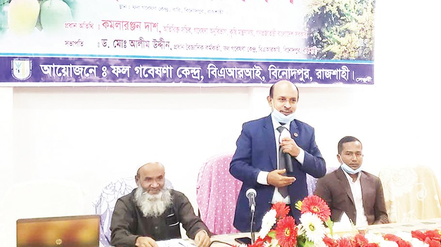 Call for applying modern techniques to boost mango production