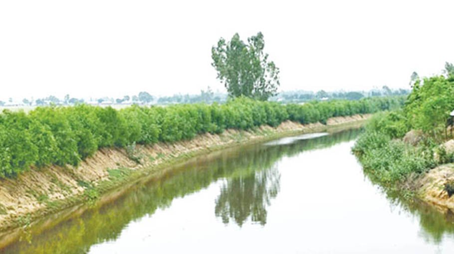 Plan to revitalise water bodies for irrigation