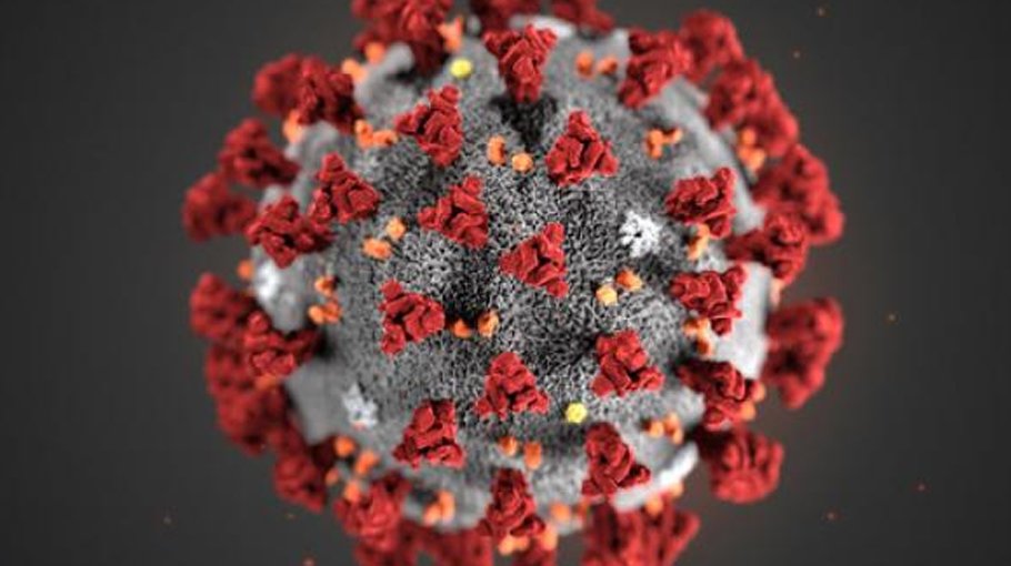 Over 1,100 Covid cases in 24 hrs