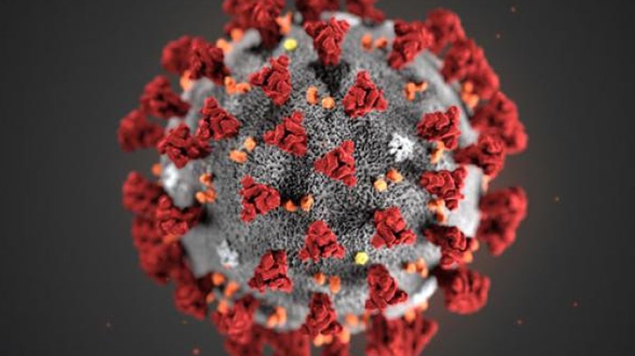 Covid cases up by 115pc in one week