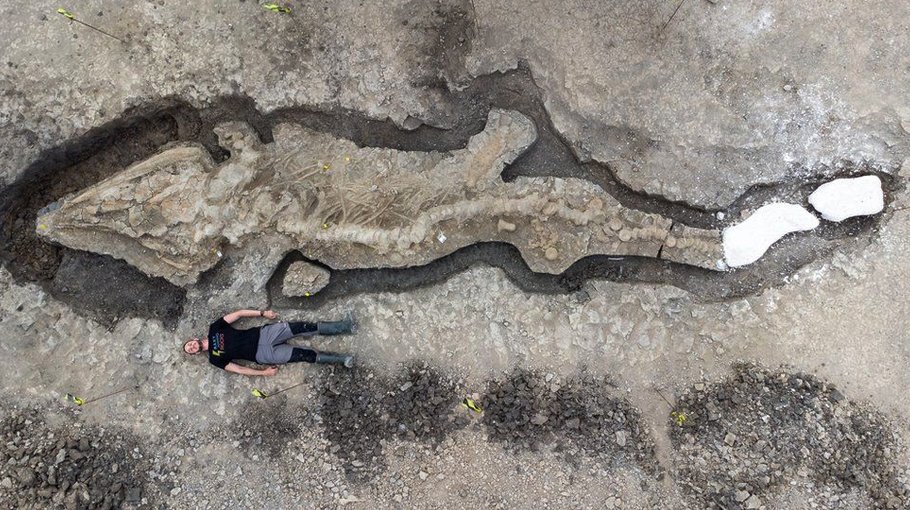Huge fossilised dinosaur found in UK
