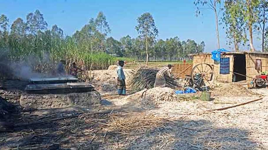 Sugarcane farmers busy making jaggery in Bijoynagar