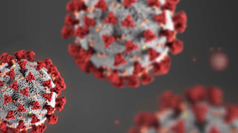 Global Covid cases top 323m