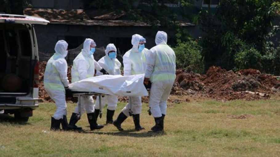 7 Covid deaths in 24 hours