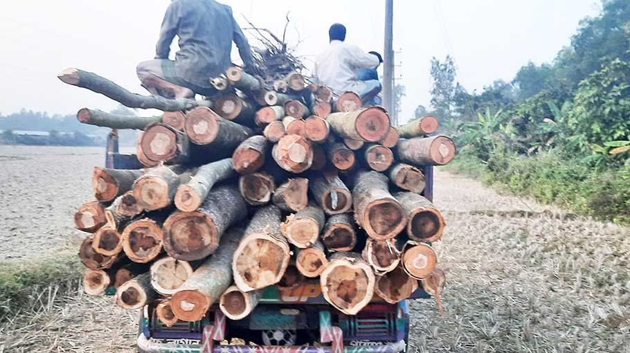Railway timber recovered at Mirsarai