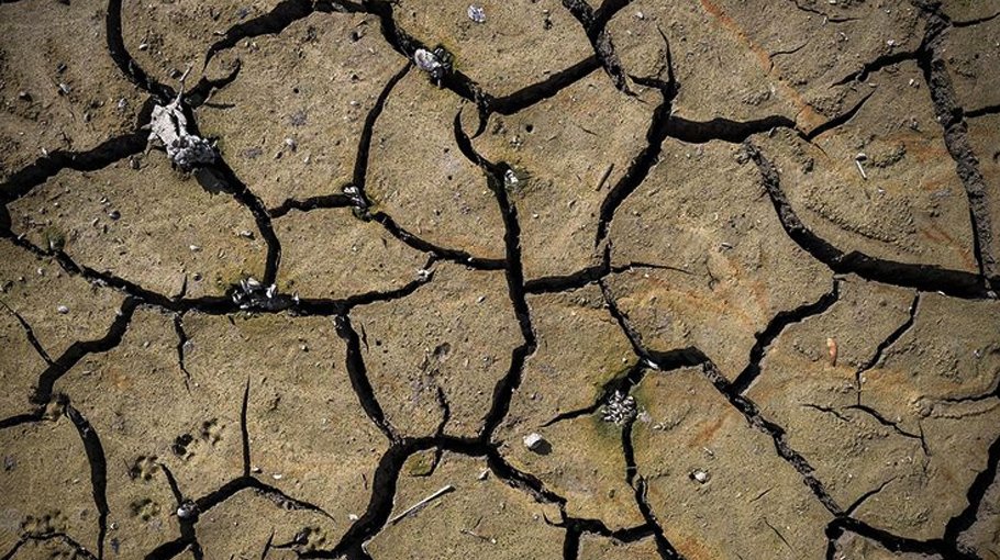 Climate change demands strong political leadership